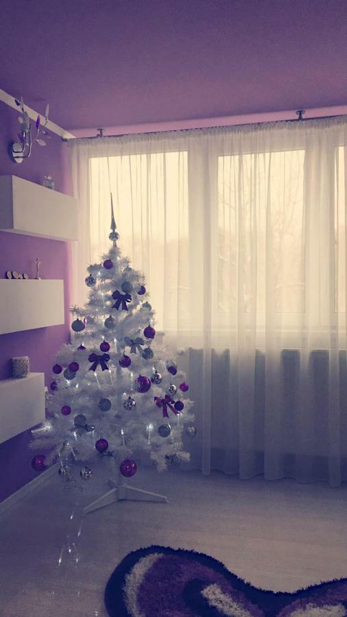 Apartament 2 Apartment *